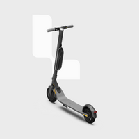 Ninebot Kickscooter E45