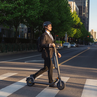 Ninebot Kickscooter E45
