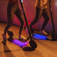 Ninebot Kickscooter E45
